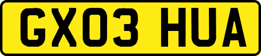 GX03HUA