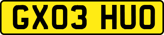 GX03HUO