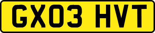 GX03HVT