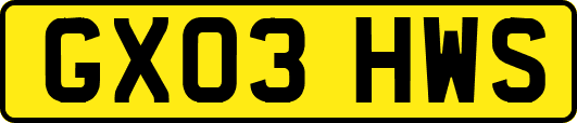 GX03HWS