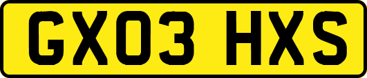 GX03HXS