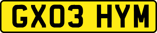 GX03HYM