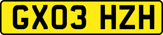 GX03HZH