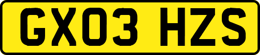 GX03HZS