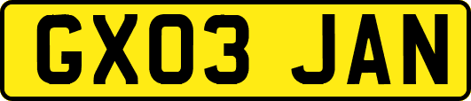 GX03JAN