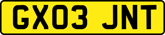 GX03JNT