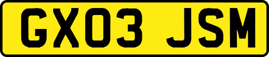 GX03JSM