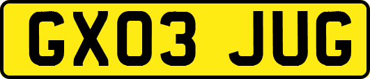 GX03JUG