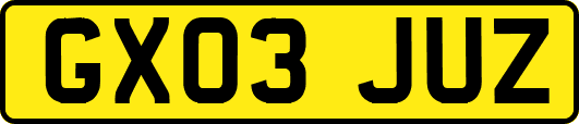 GX03JUZ