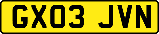 GX03JVN