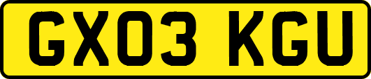 GX03KGU