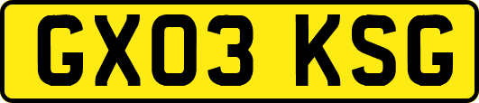 GX03KSG