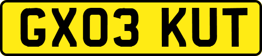 GX03KUT