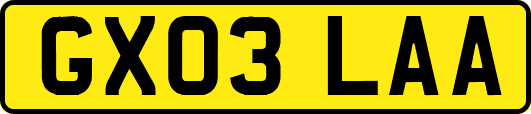 GX03LAA