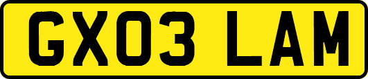 GX03LAM