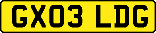 GX03LDG