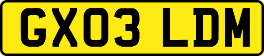 GX03LDM
