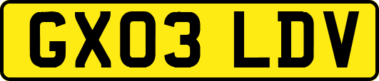 GX03LDV