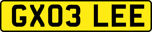 GX03LEE