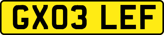 GX03LEF