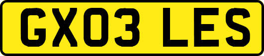 GX03LES