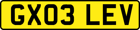 GX03LEV