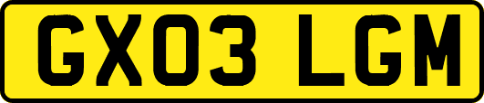 GX03LGM