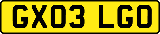 GX03LGO