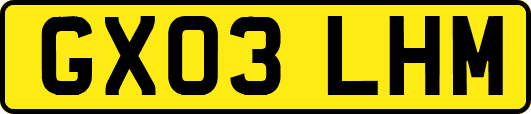 GX03LHM