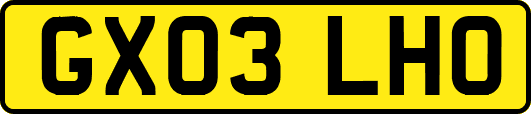 GX03LHO