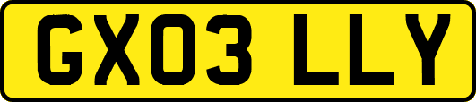 GX03LLY