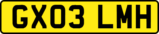 GX03LMH