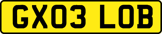 GX03LOB