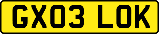GX03LOK