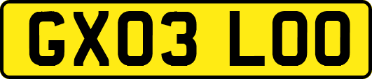 GX03LOO