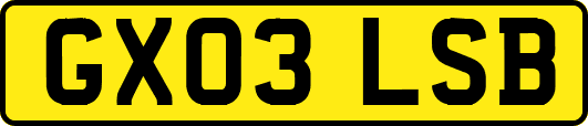 GX03LSB