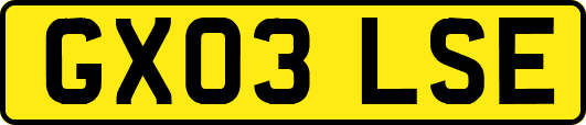 GX03LSE