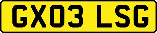 GX03LSG