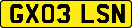 GX03LSN