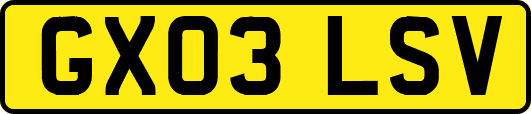 GX03LSV