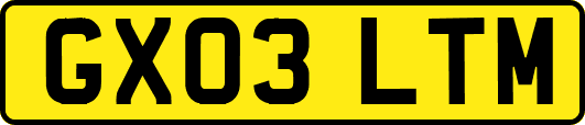 GX03LTM