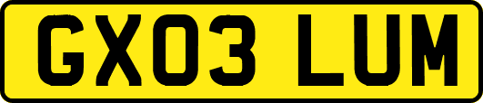 GX03LUM