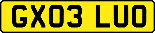 GX03LUO