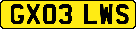 GX03LWS