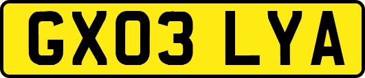 GX03LYA