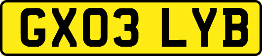 GX03LYB