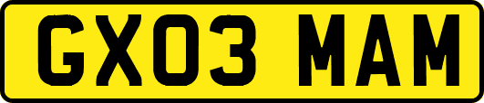 GX03MAM