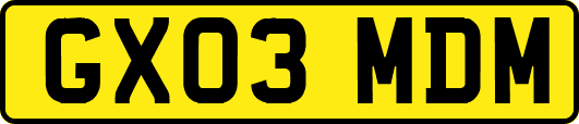 GX03MDM