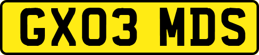 GX03MDS