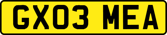 GX03MEA